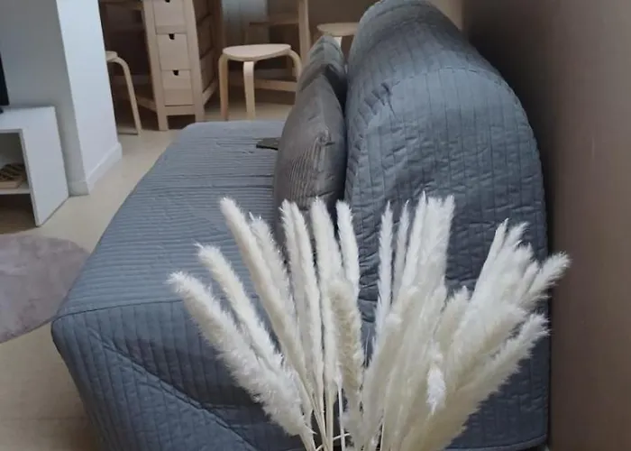 Apartamento Cosy App Near Sea Cabourg